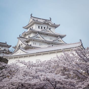 Stunning view of Himeji Castle surrounded by cherry blossoms in spring, Japan.