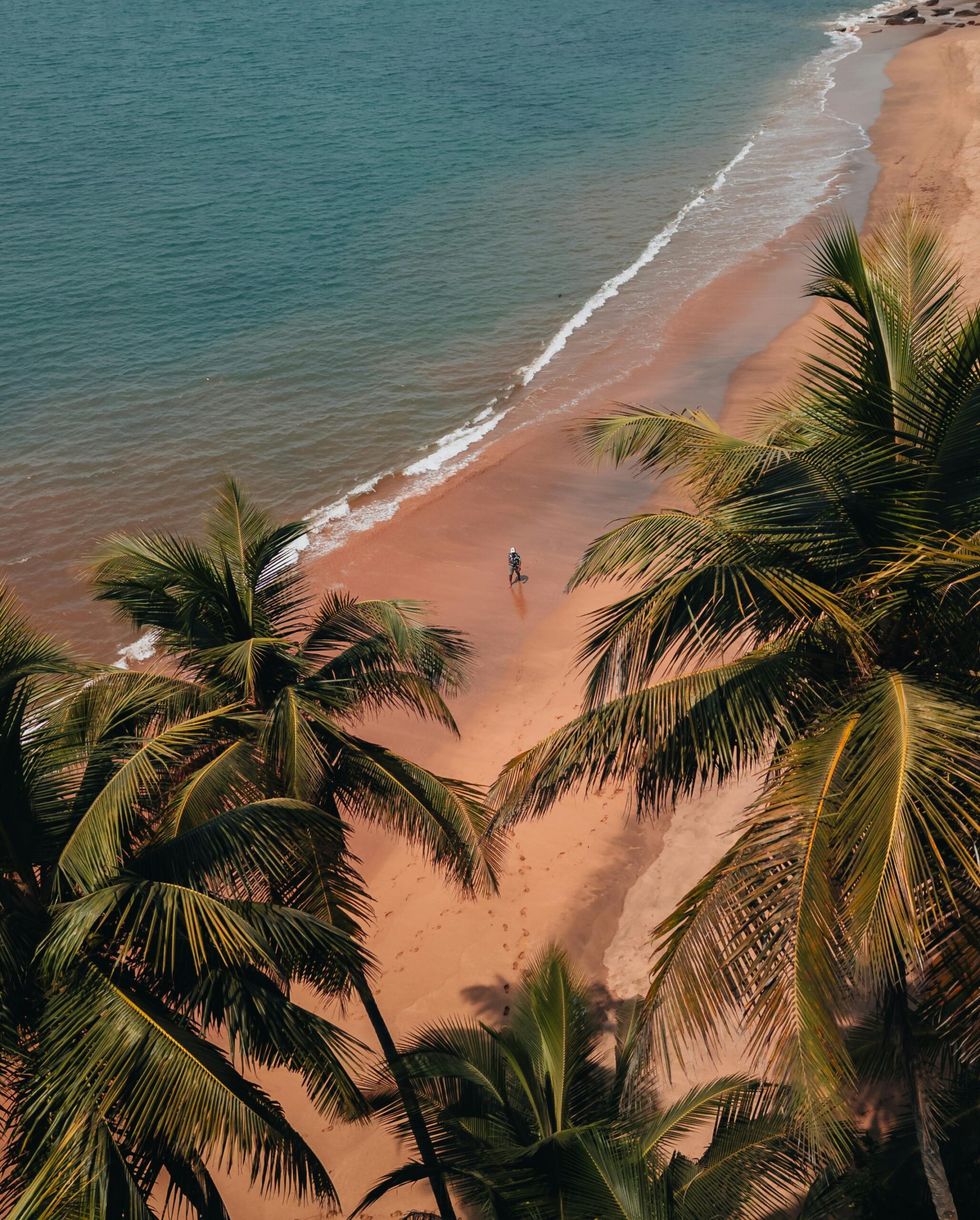Discover the tranquil beauty of a secluded beach in Goa, framed by lush palm trees and serene waves.